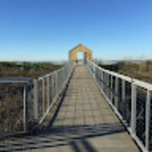 Meet your Posher, Charlize